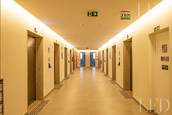 LED Corporate